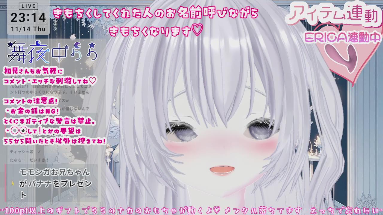 2024年11月15日の録画